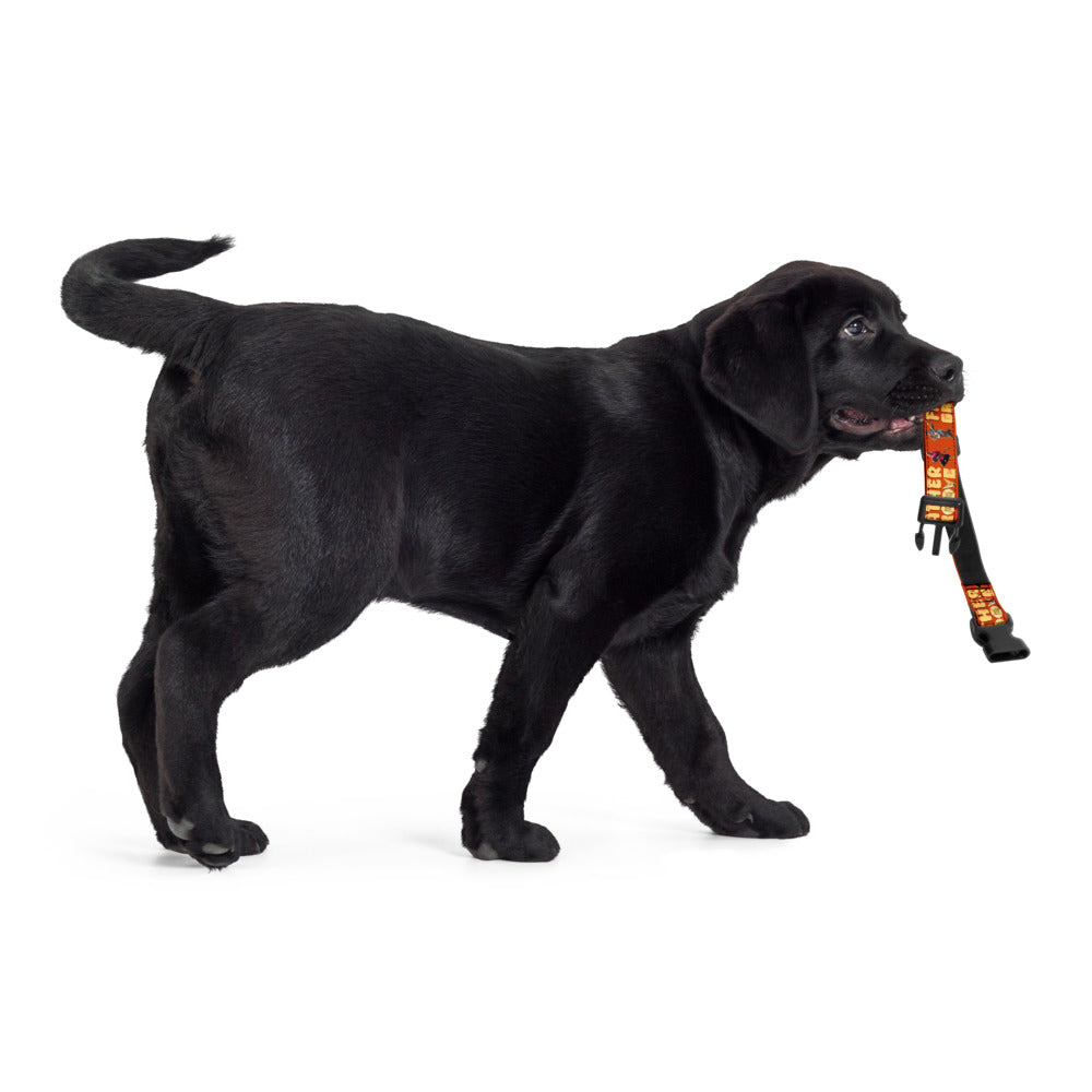 Father Groove™ Pet Collar – Keep Your Best Friend Grooving in Style